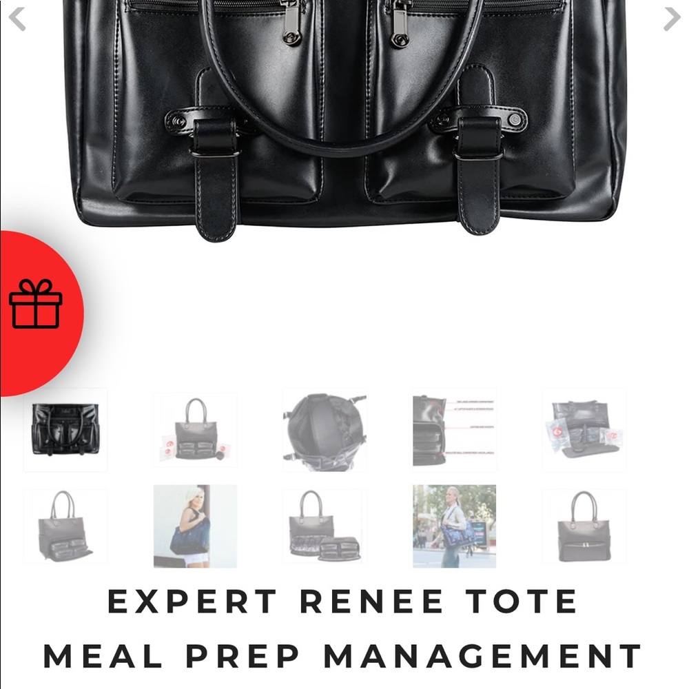 EXPERT RENEE TOTE MEAL PREP MANAGEMENT 4 -meals